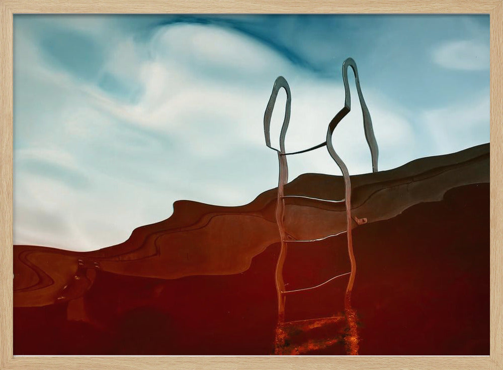 De ladder | Poster