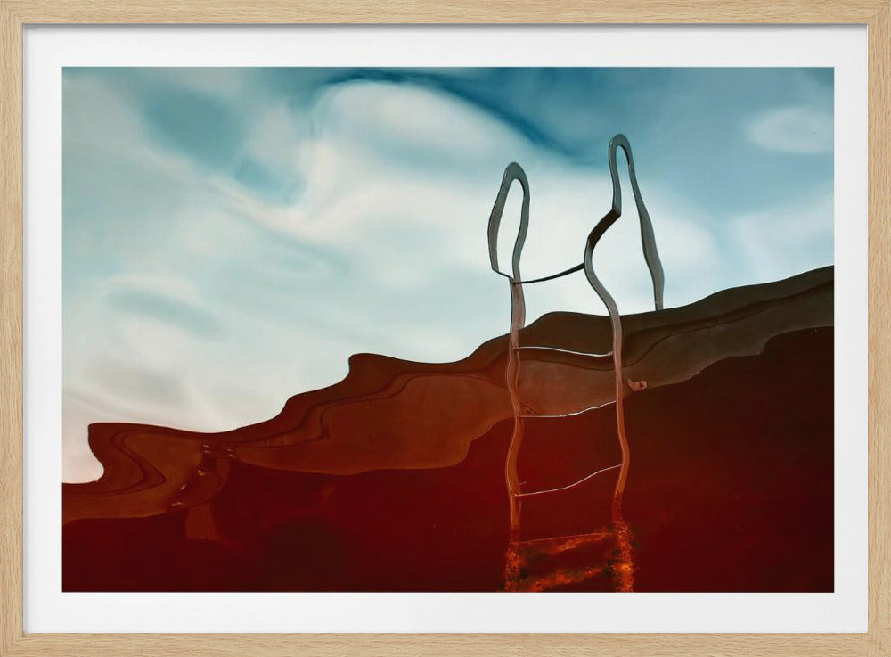 De ladder | Poster