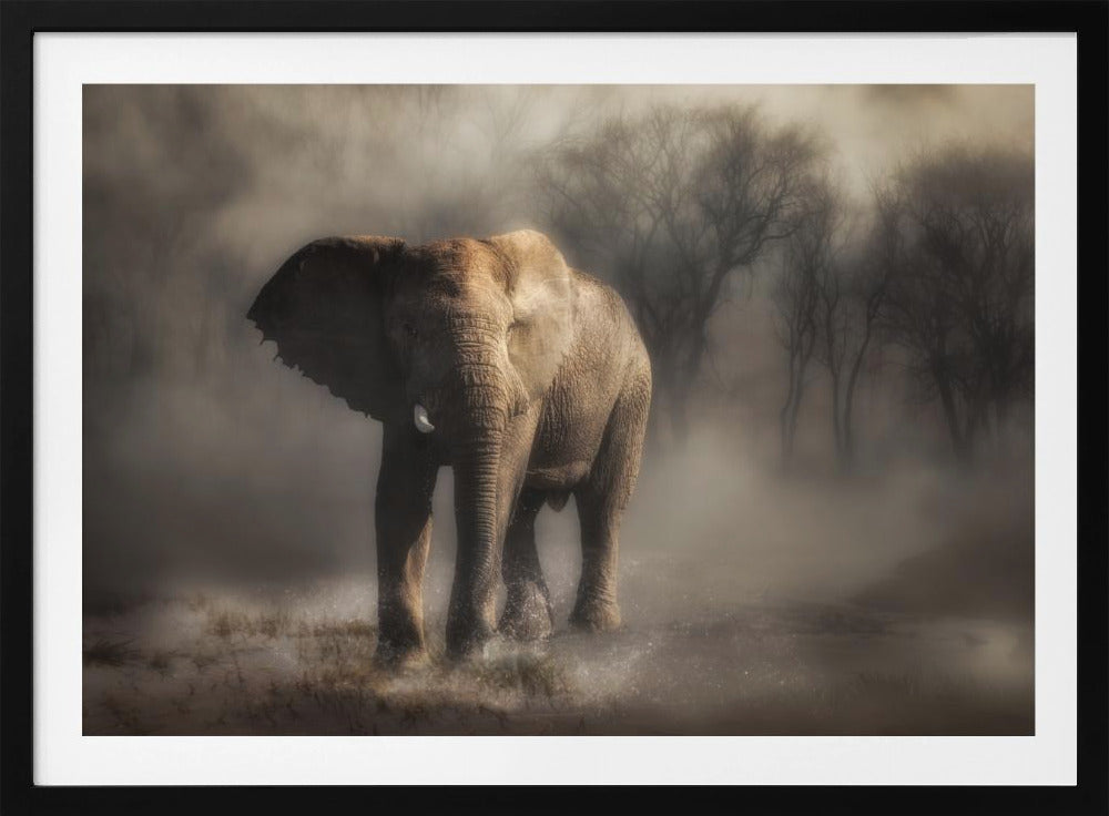 “....elephant drinking water...’ | Poster