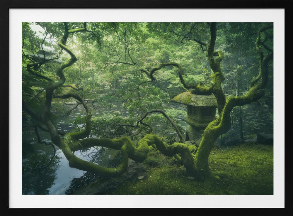 Japanse boom | Poster