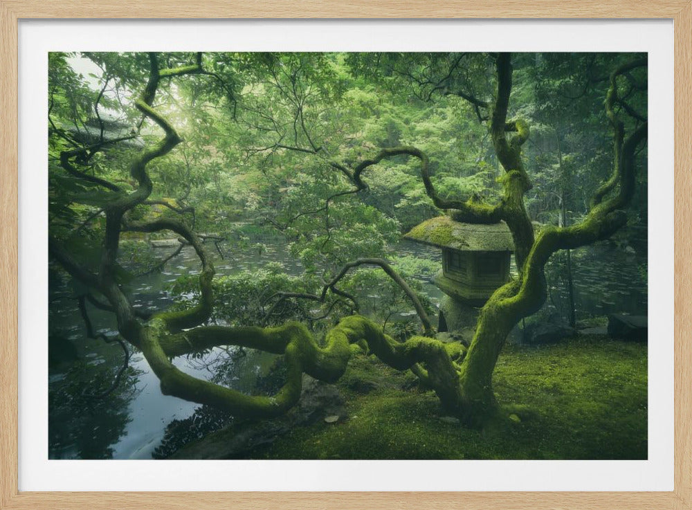Japanse boom | Poster