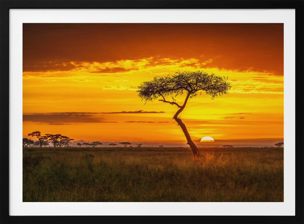Oer-Afrika | Poster