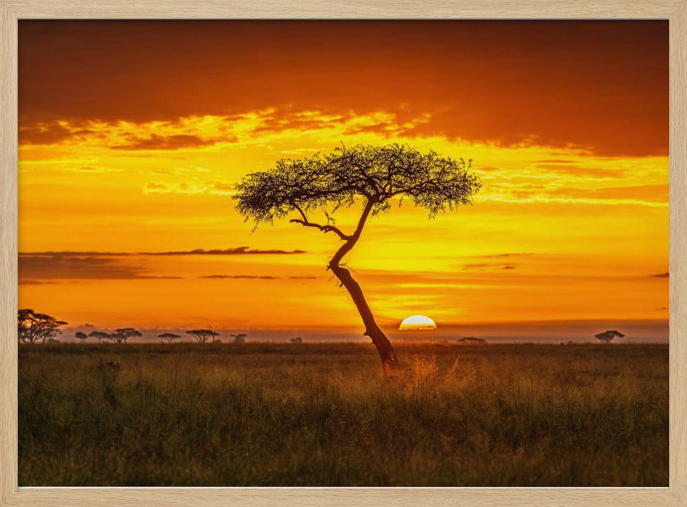 Oer-Afrika | Poster