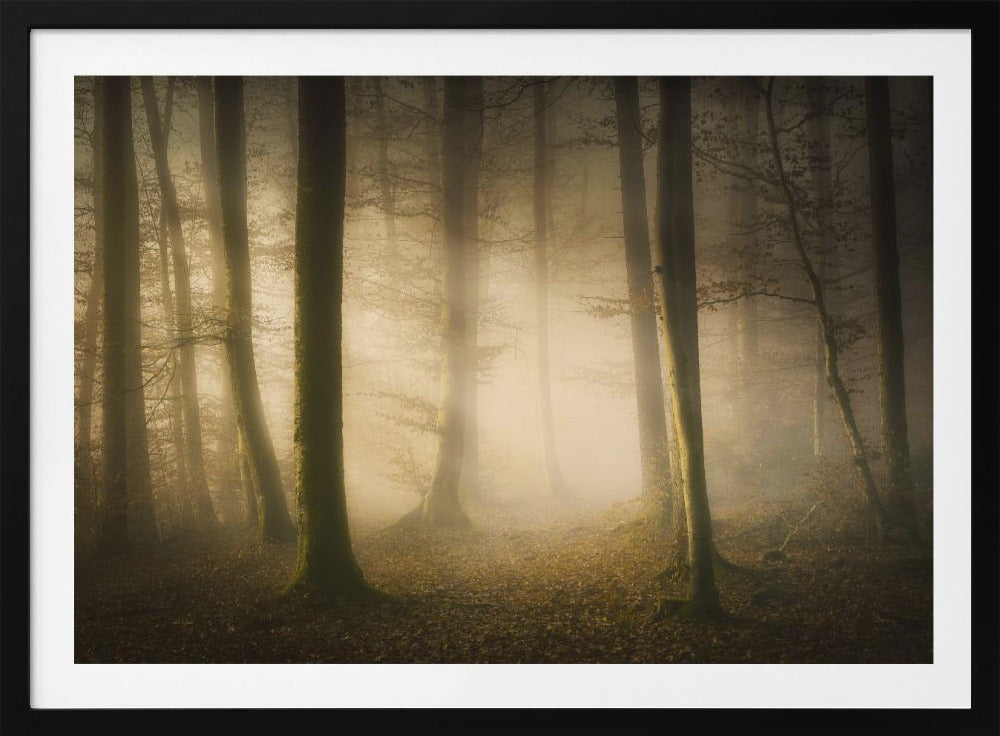November Fluisteringen | Poster