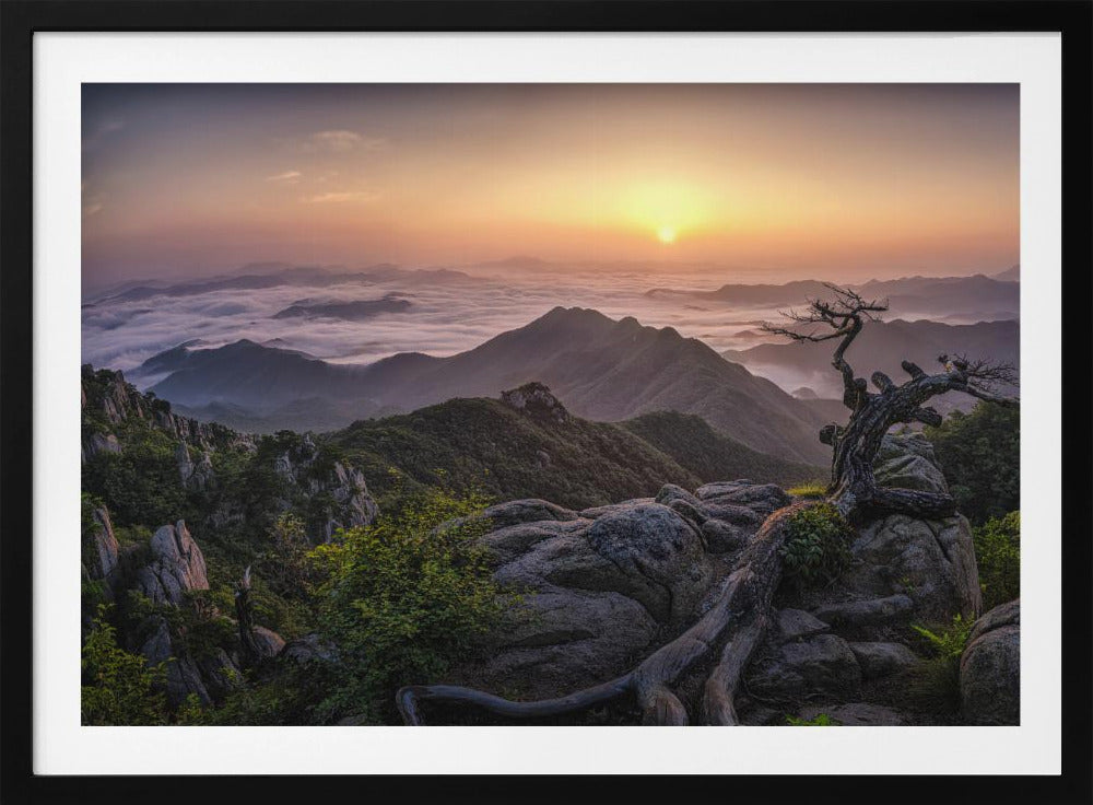 Zonsopgang op de top | Poster