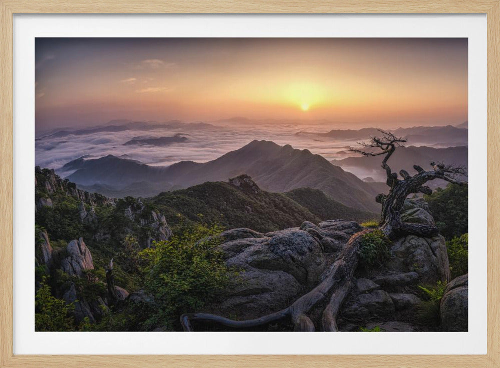 Zonsopgang op de top | Poster