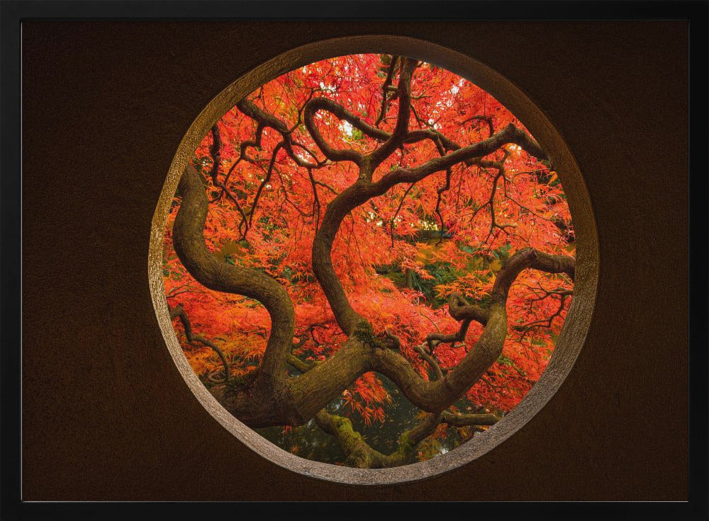 Herfstgevoel | Poster