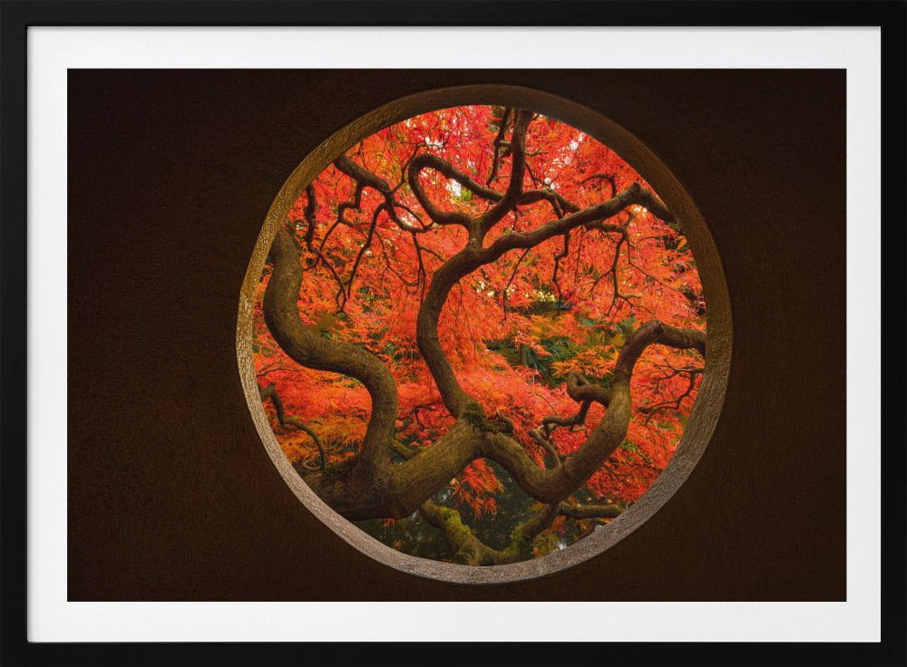 Herfstgevoel | Poster