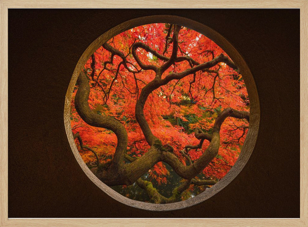 Herfstgevoel | Poster
