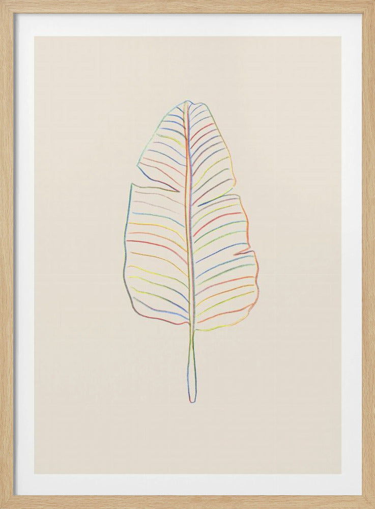 Bananenregenboogblad | Poster