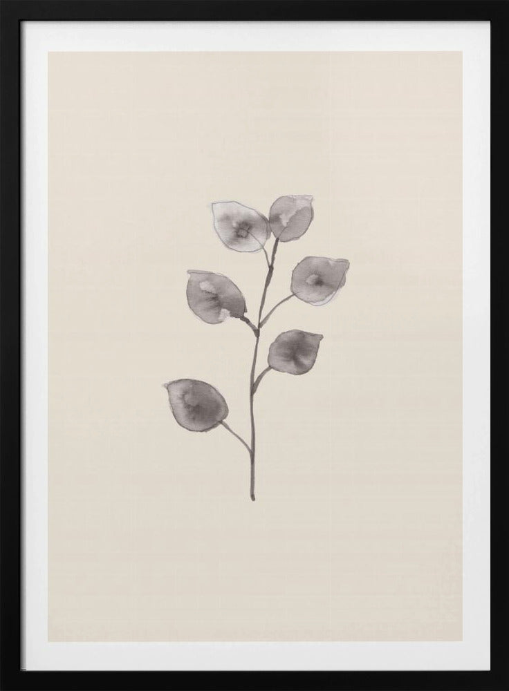 Eucalyptustakje | Poster