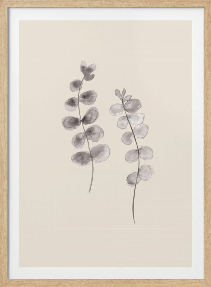 Eucalyptus takjes | Poster