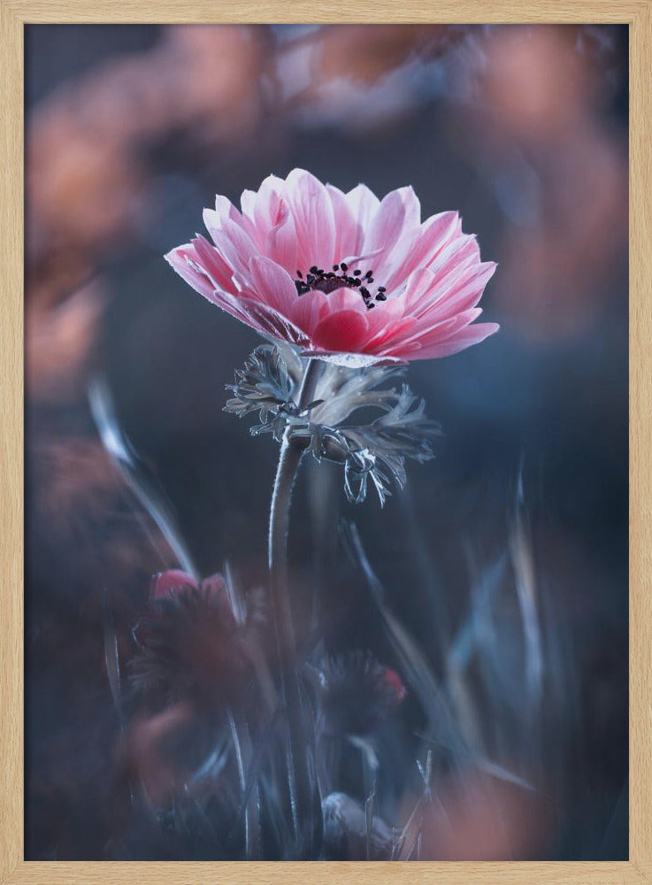 Staand in schoonheid | Poster