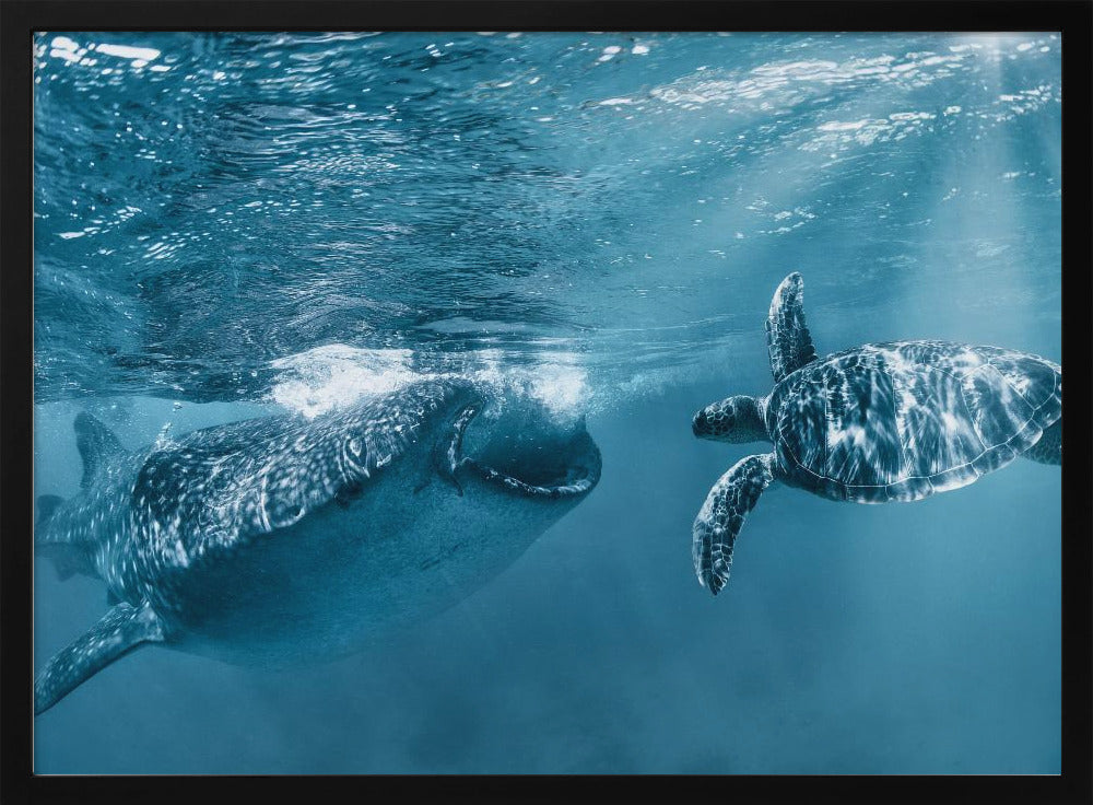 Eenmaal bij de oceaan | Poster