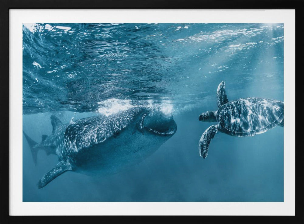 Eenmaal bij de oceaan | Poster