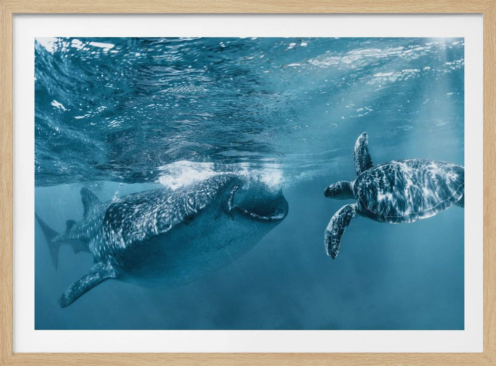 Eenmaal bij de oceaan | Poster