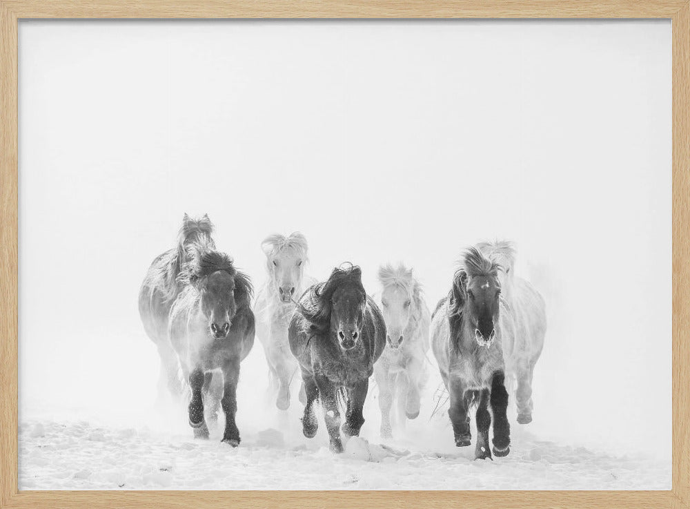Hardlopen in de sneeuw | Poster