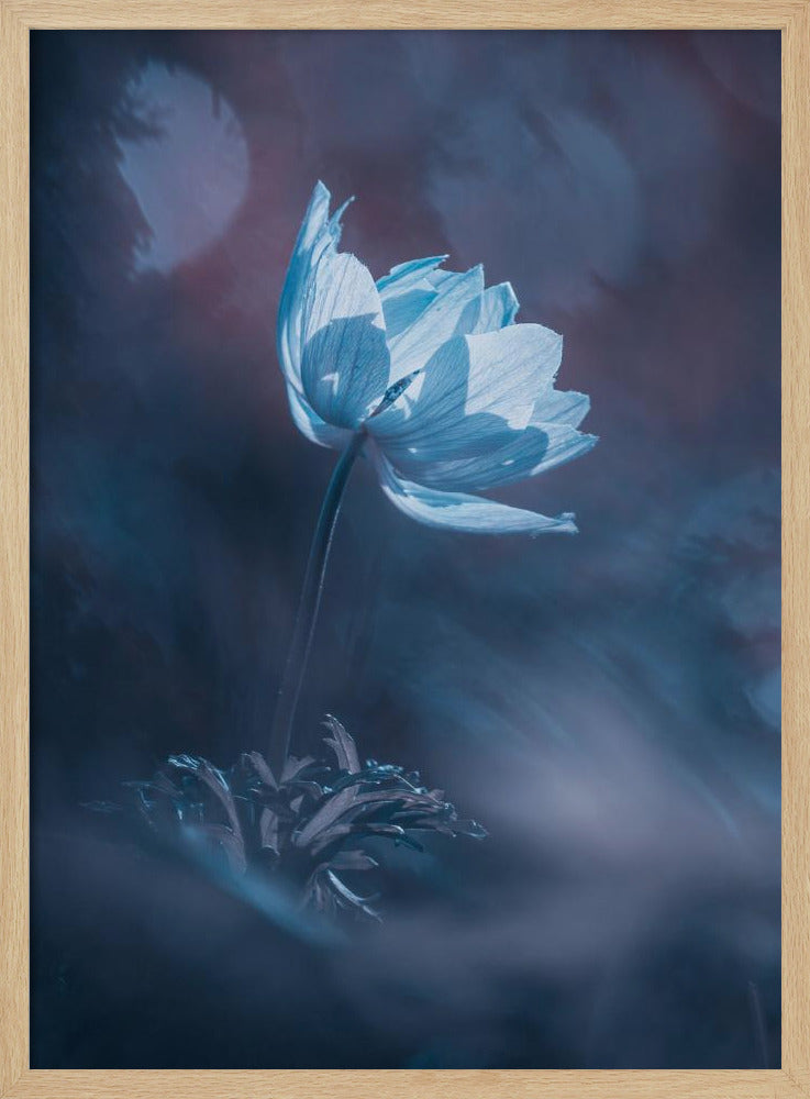 Dream on | Poster