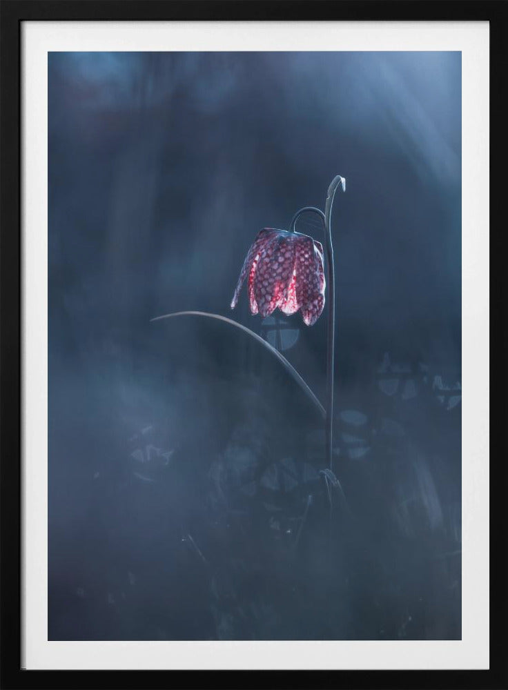 Vluchtige fantasie | Poster