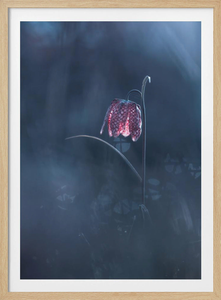 Vluchtige fantasie | Poster