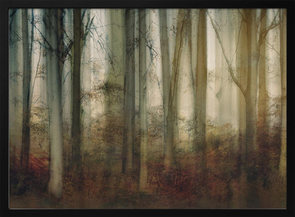 Herfstlicht | Poster