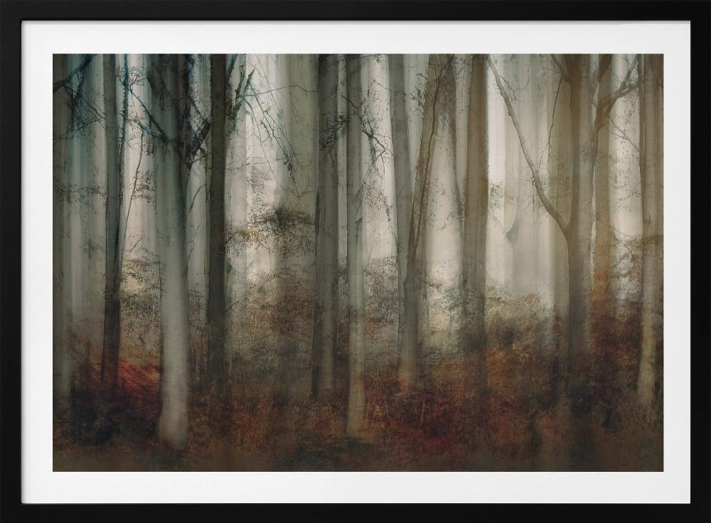 Herfstlicht | Poster
