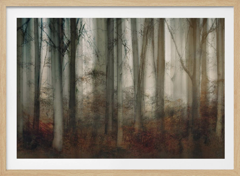 Herfstlicht | Poster