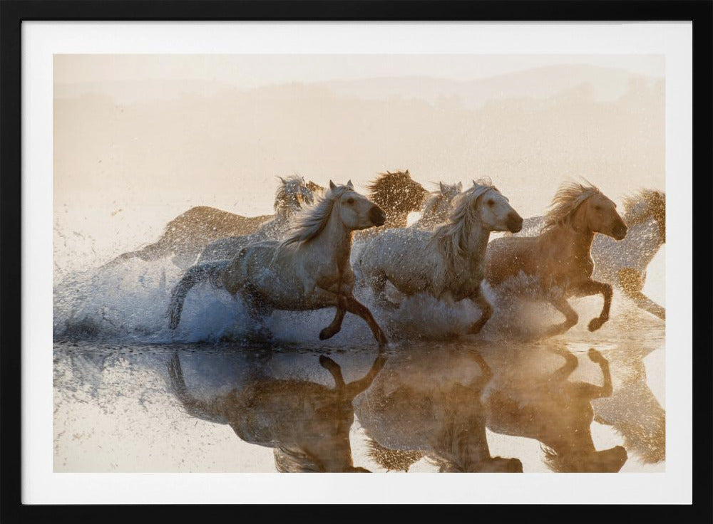 Paarden | Poster