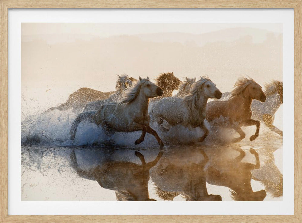 Paarden | Poster