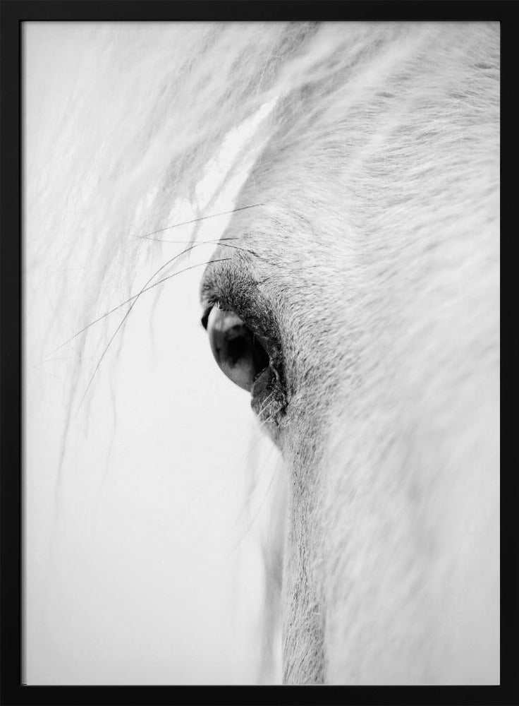 Slangoog | Poster
