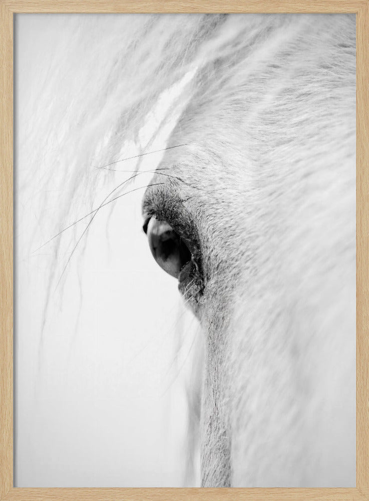 Slangoog | Poster