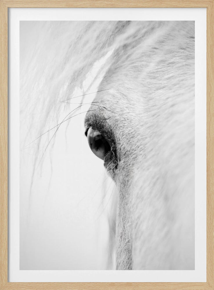 Slangoog | Poster