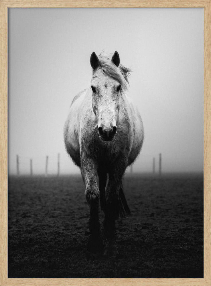 Confidence | Poster