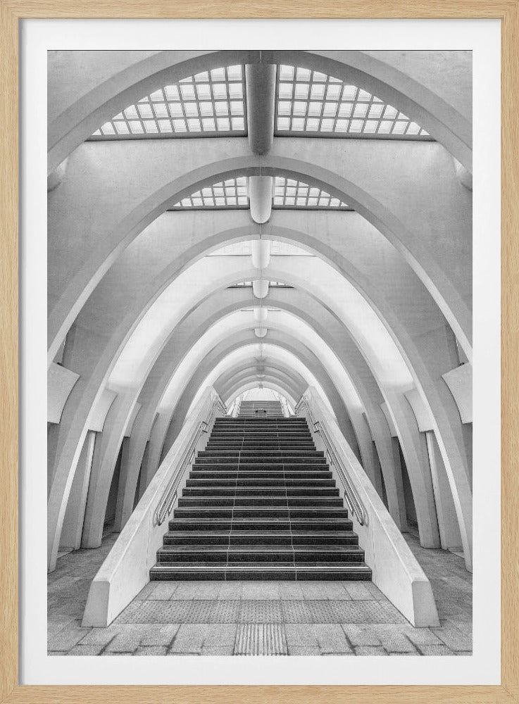 Calatrava lines | Poster