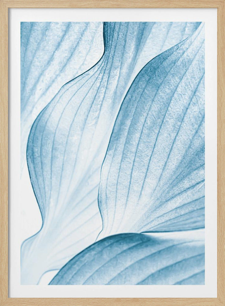 IJzige golven | Poster