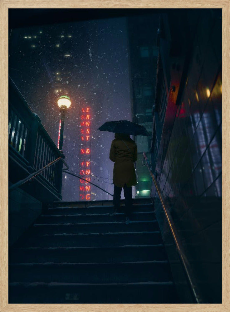 Uitstappen naar de storm | Poster