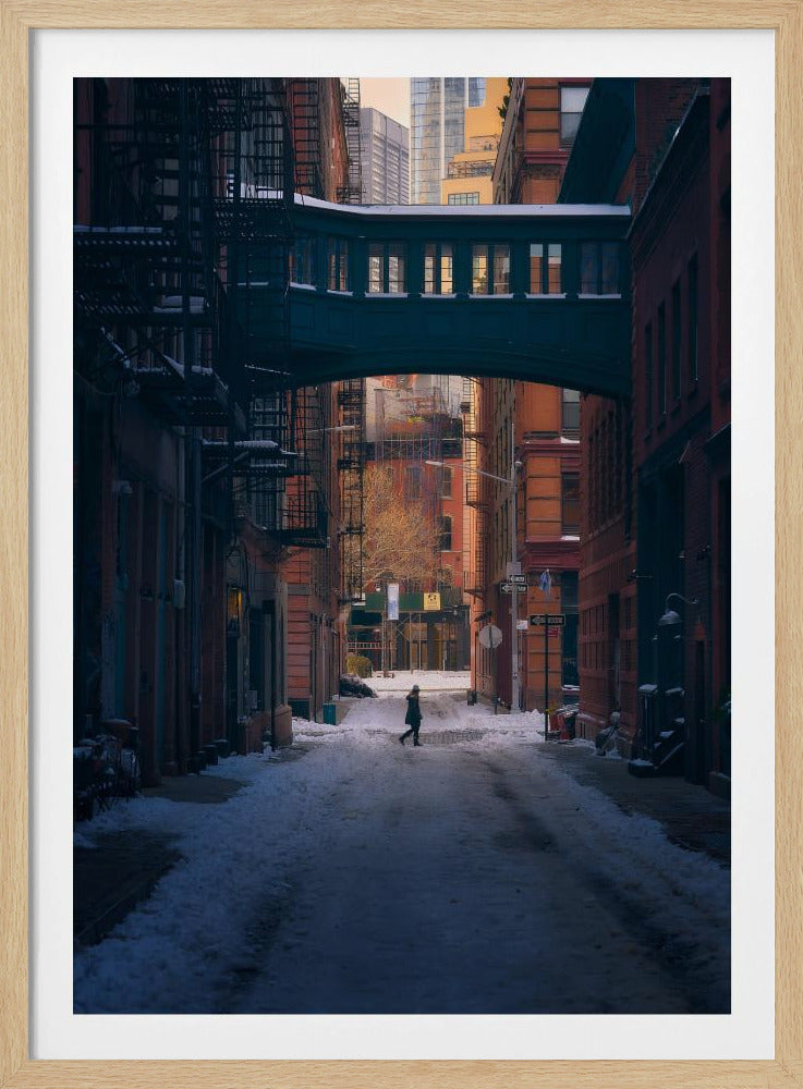 Onder de Skybridge | Poster