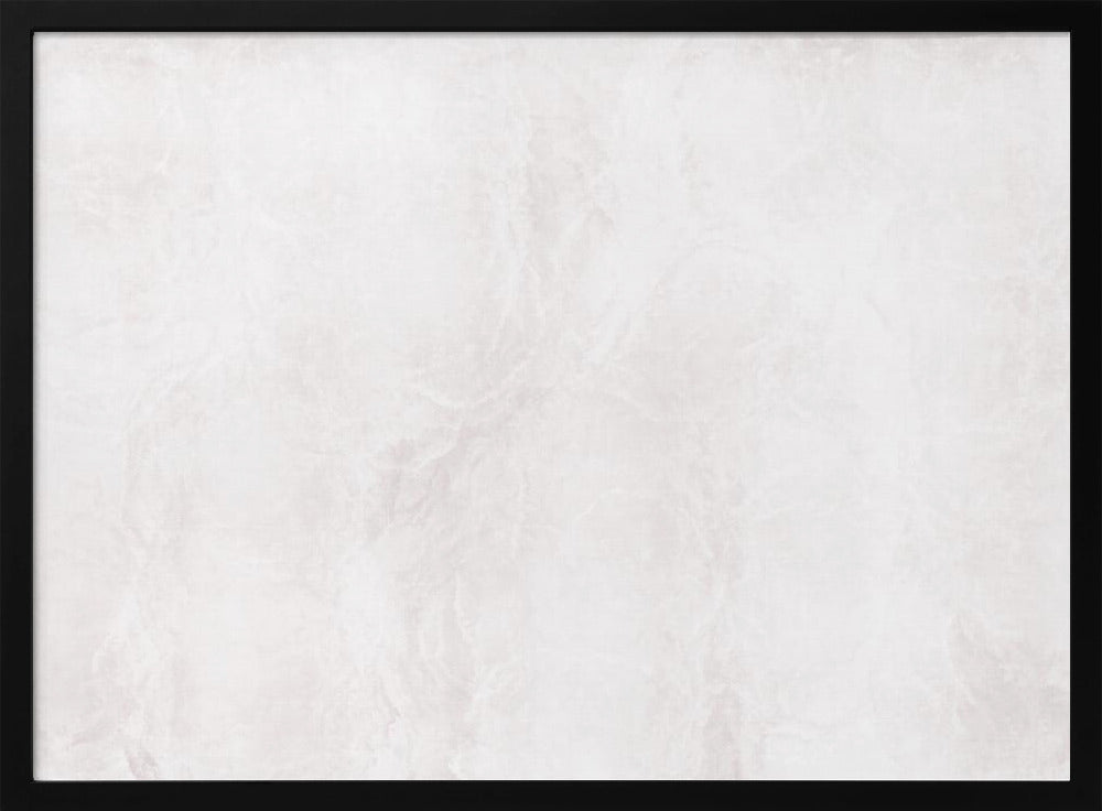 Witte en grijze adering | Poster