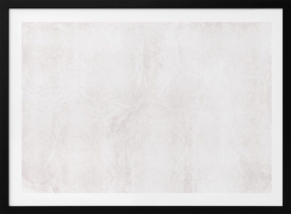 Witte en grijze adering | Poster