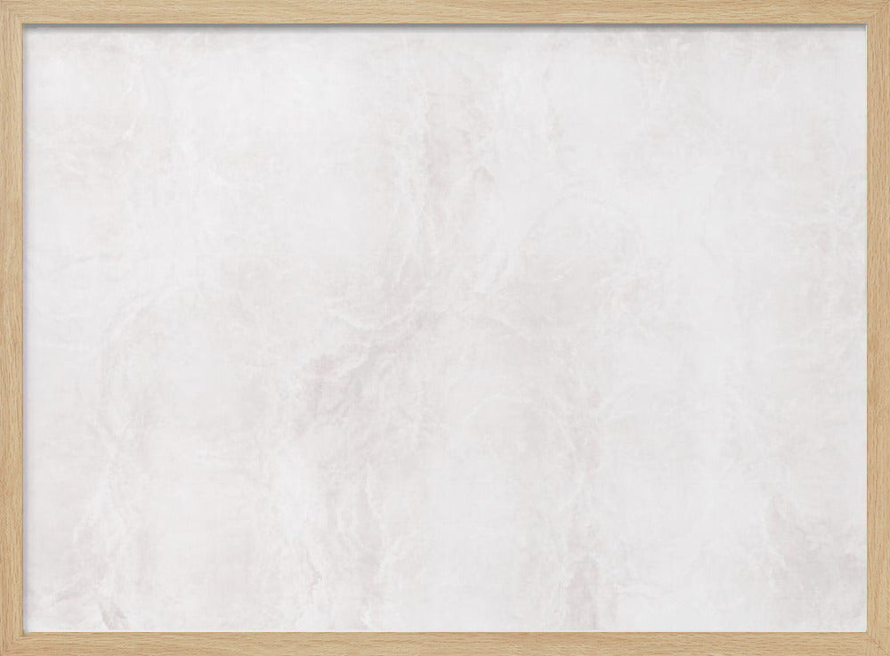 Witte en grijze adering | Poster