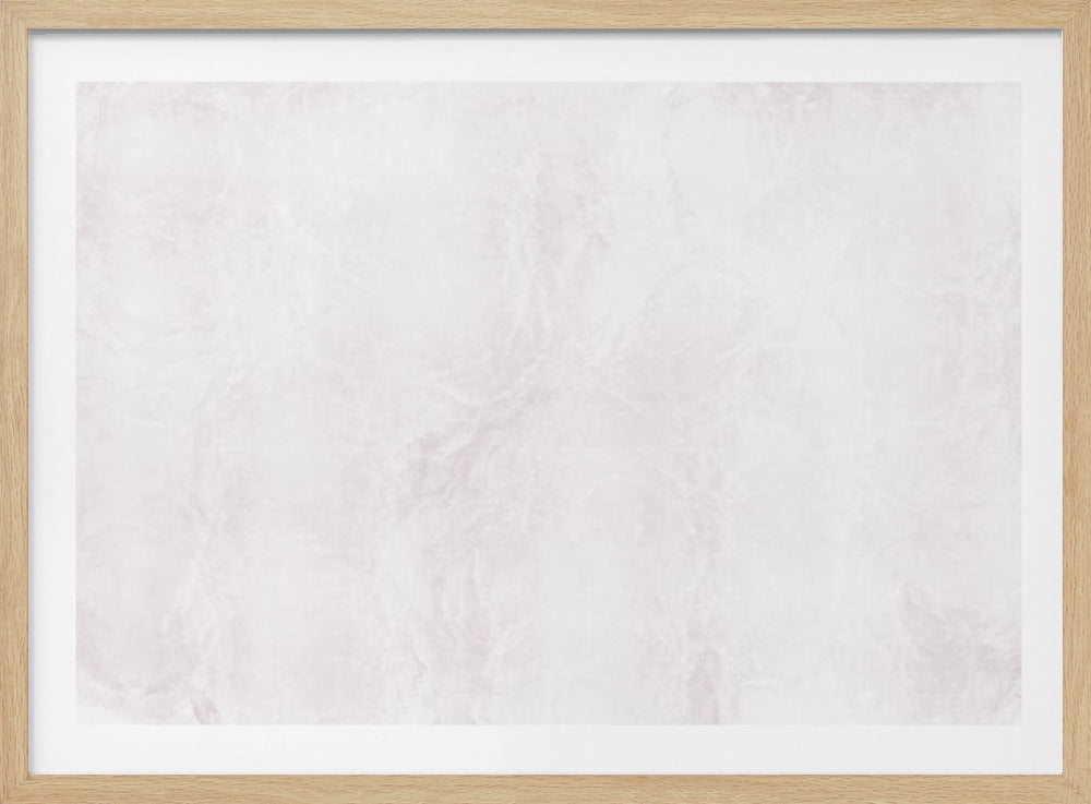 Witte en grijze adering | Poster