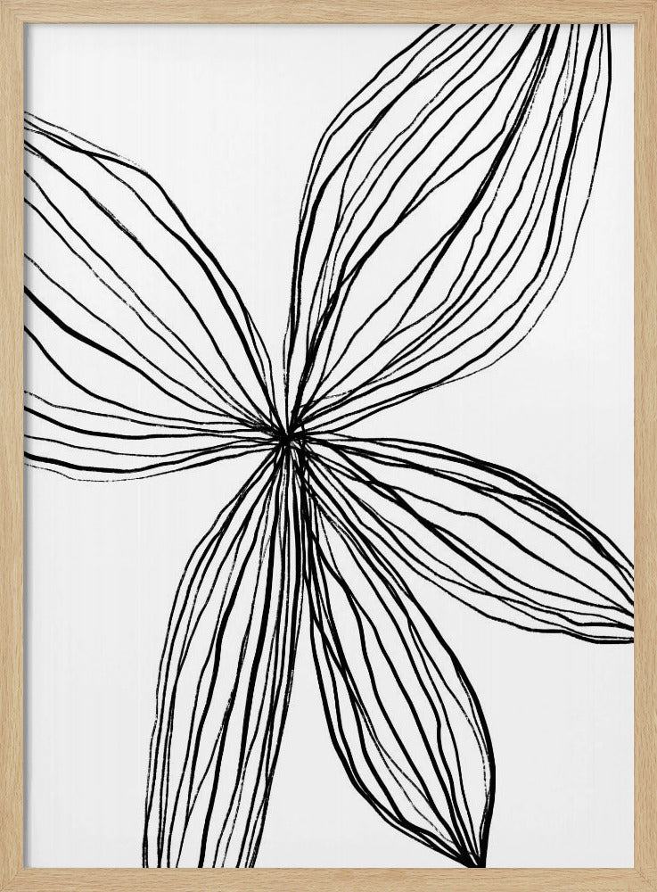 Elegante bloemblaadjes | Poster