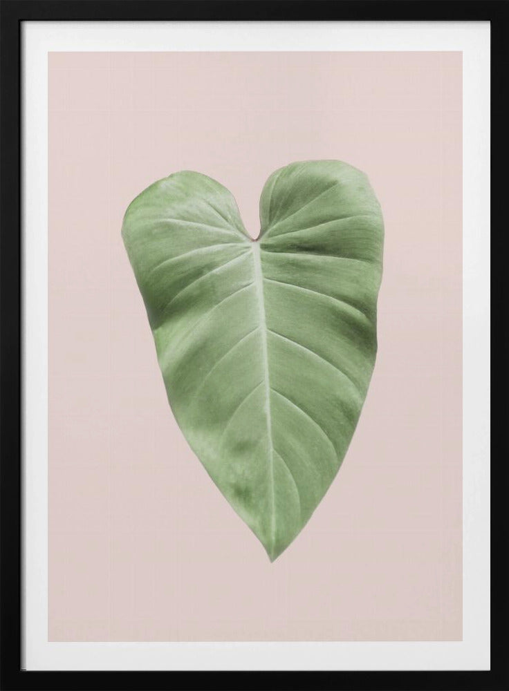 Tropisch bladblush | Poster