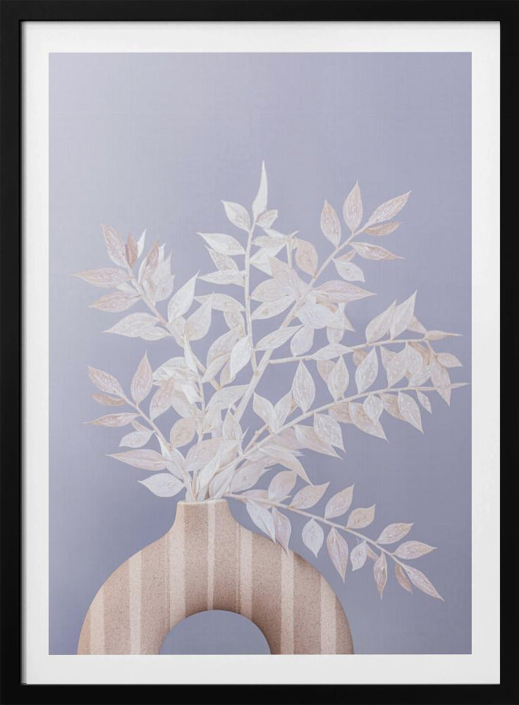 Ruscus | Poster