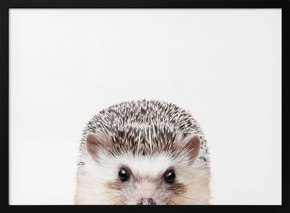 Glurende Egel | Poster