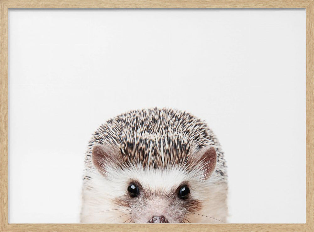 Glurende Egel | Poster