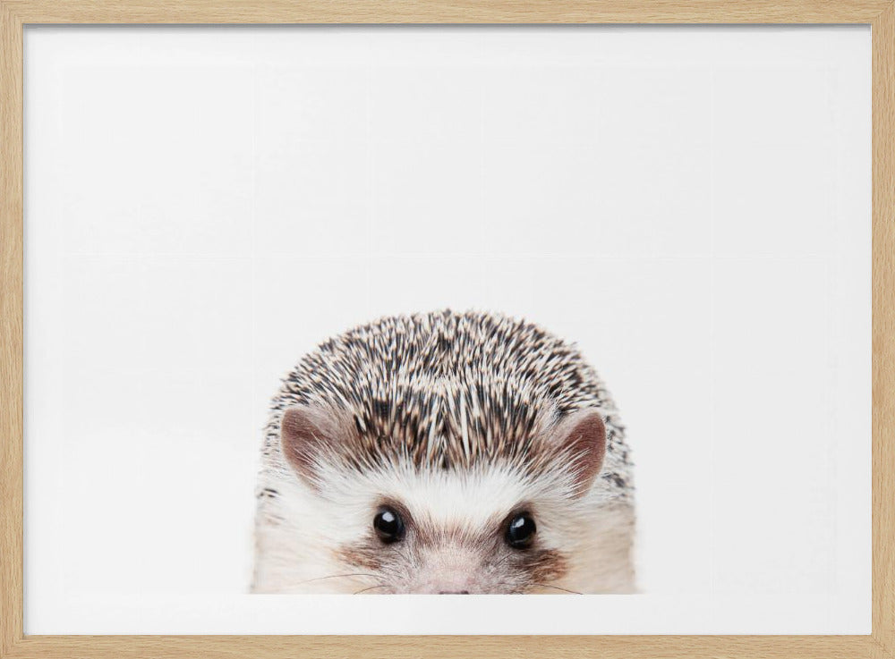 Glurende Egel | Poster