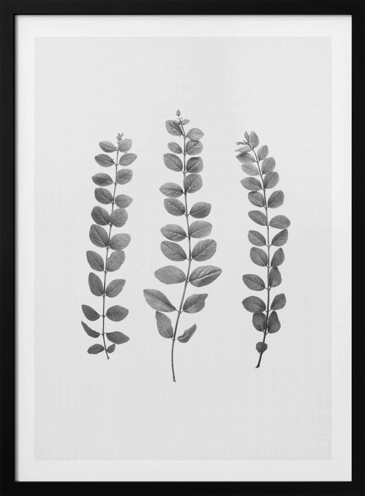 Twijgen | Poster
