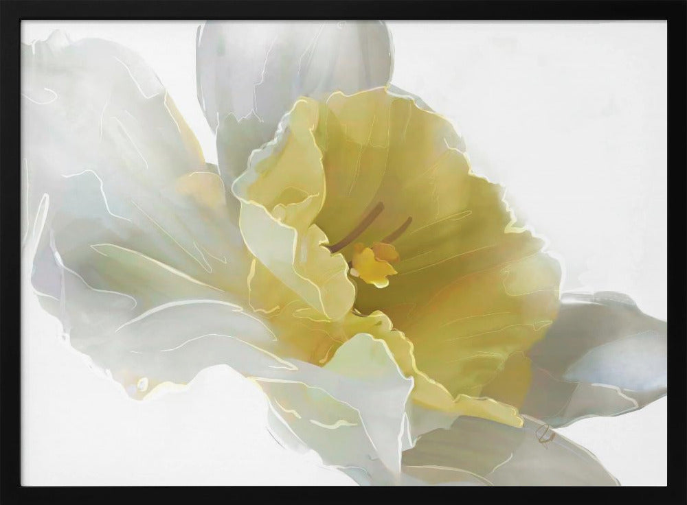 Narcis | Poster