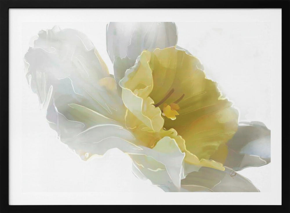 Narcis | Poster